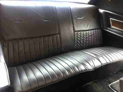 Black Beauty, image 10