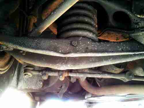 Black Beauty, image 12