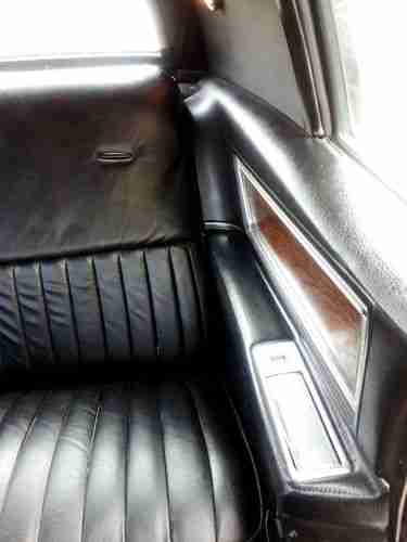 Black Beauty, image 14