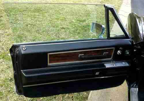 Black Beauty, image 16