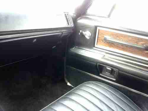 Black Beauty, image 17