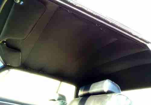 Black Beauty, image 18