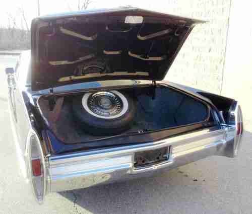 Black Beauty, image 19