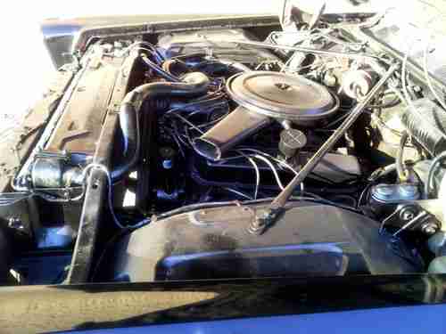 Black Beauty, image 21