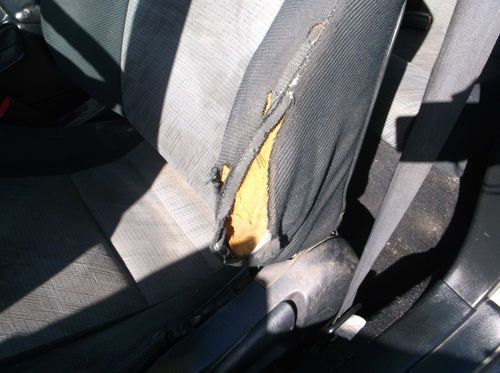 1994 Toyota Celica, NO RESERVE, image 10
