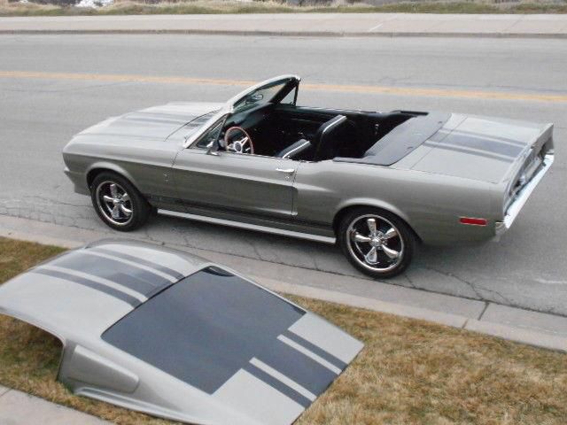 Ford mustang eleanor and shelby