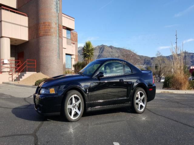 Ford: mustang svt cobra