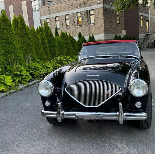 1954 austin healey 100-4