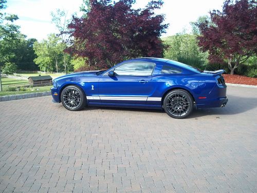 2013 shelby cobra gt500 owned by orange county chopper legend paul sr