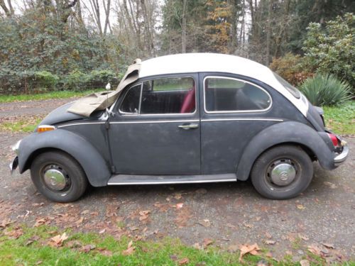 1970 volkswagen beetle