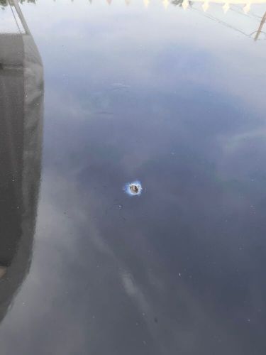 1987 Cadillac Brougham, US $3,000.00, image 3