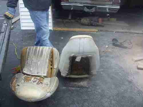 1970 GTX B-5 Blue NO ROT A True California CAR, US $11,600.00, image 11