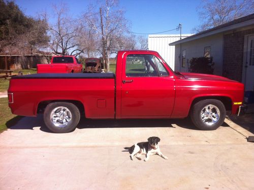 1981 chevy c10 truck