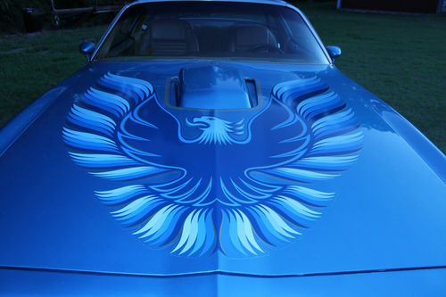 Beautiful 1979 pontiac trans-am