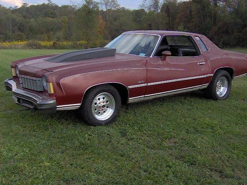 1975 monte carlo