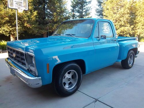 1979 chevrolet c-10 deluxe truck