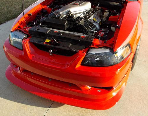 2000 Mustang Cobra R - Mint Condition, image 8