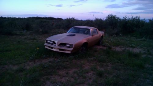 78 gold on gold 4 speed numbers matching trans am posi rear az car no rust