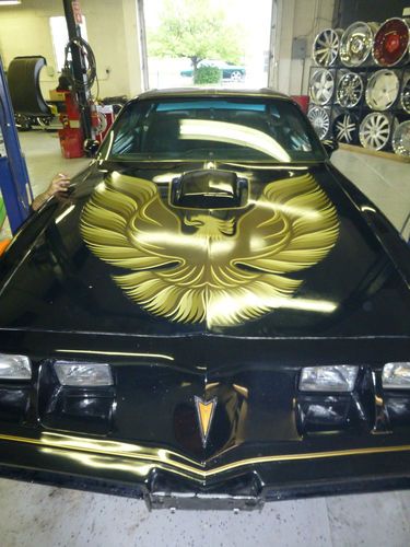 1979 pontiac trans am    black/gold  t-tops