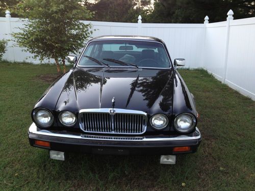 1984 black beuty xj6