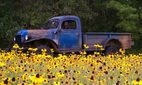 1961  dodge power wagon wm300 flat fender