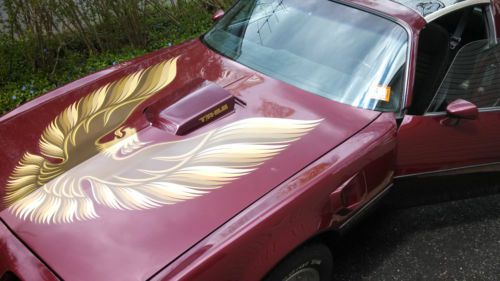 1979 pontiac trans am ws6 t-top 6.6