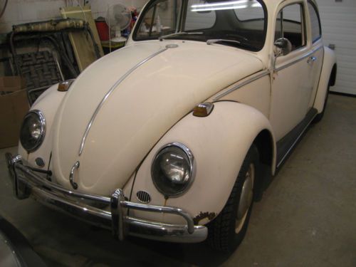 1966 vw beetle