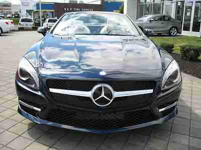 2013 MERCEDES-BENZ SL550 ROADSTER MAGIC SKY CONTROL 19