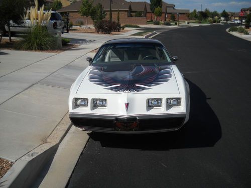 1980 pontiac trans am indy pace car