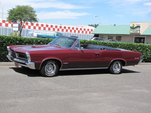 1965 pontiac gto convertible