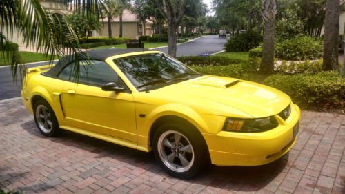 2001 ford mustang gt premium convertible