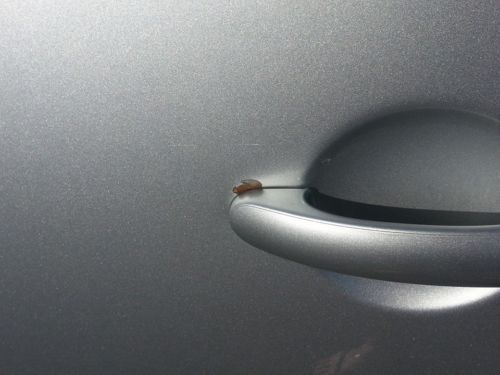 2003 Volkswagen New Beetle Convertible Reflex Silver w/ Black & Grey Interior, image 22