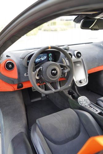 2019 McLaren 600LT, US $234,000.00, image 2