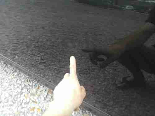 2004 G35 COUPE 6 SPEED MANUAL BLACK ON BLACK BOSE BREMBO BRAKES THIS IS THE ONE!, image 8