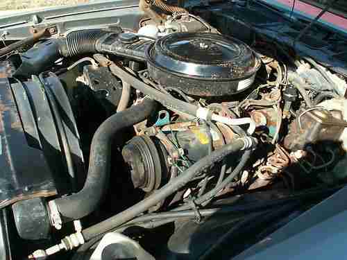 79 CAMARO Z28, 8129 ACTUAL MILES, UNTOUCHED SURVIVOR CAR! BARN FIND!, image 11