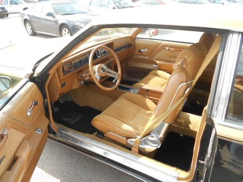 1979 olds  hurst cutlass
