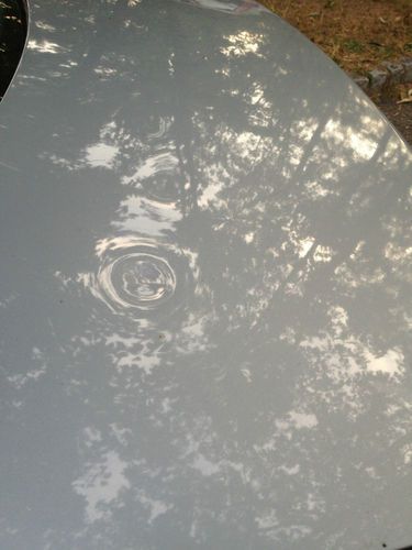 2002 Volkswagen Passat GLX Sedan 4-Door 2.8L, image 3