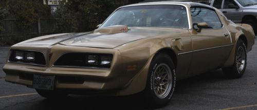 1978 pontiac firebird trans-am 35k miles needs nothing!