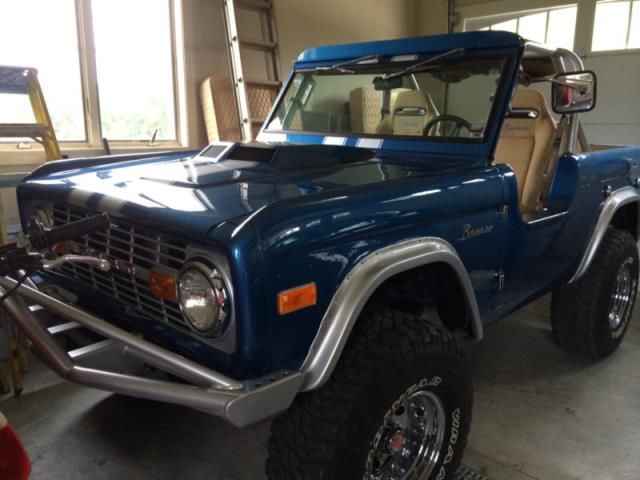 Ford bronco custom