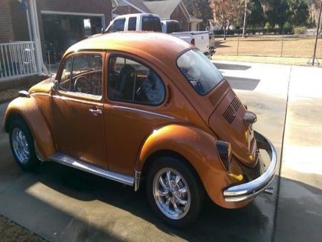 Volkswagen beetle - classic beetle