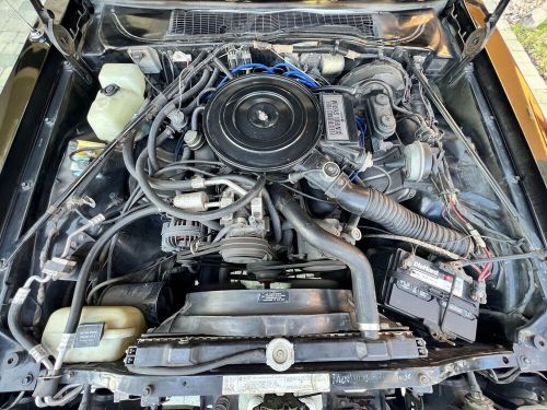 1987 Dodge Diplomat SE - RARE - CLEAN CARFAX - 139K MILES - BEST DEAL ON EBAY!, US $17,999.00, image 2