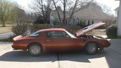 1981 pontiac trans am