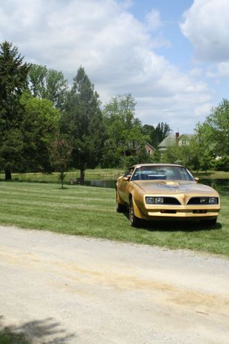 1978 pontiac trans am