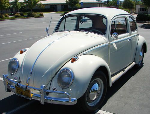 1962 vw bug  - classic