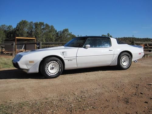1981 nascar special edition trans am
