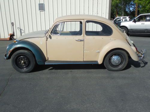 1965 volkswagen beetle