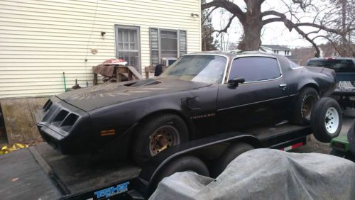 1979 trans am (backyard find) no barn!!