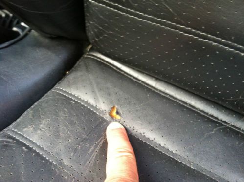 1982 Porsche 911SC sunroof cpe. white with black sport seats, image 16