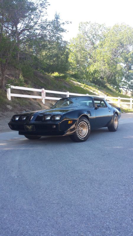 1981 pontiac trans am