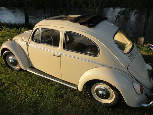 Vw rollback canvas sunroof bug